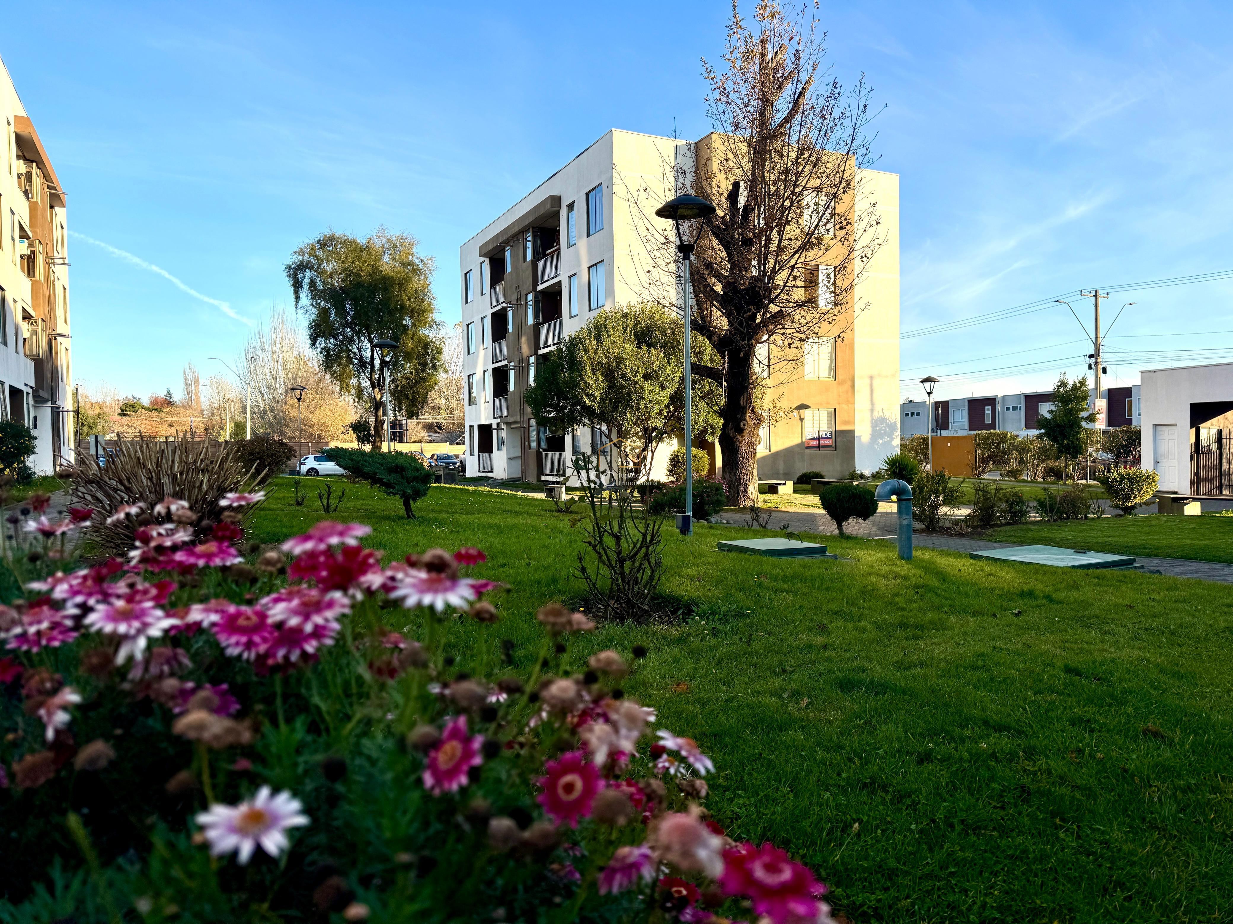 CONDOMINIO LOS ENCINOS