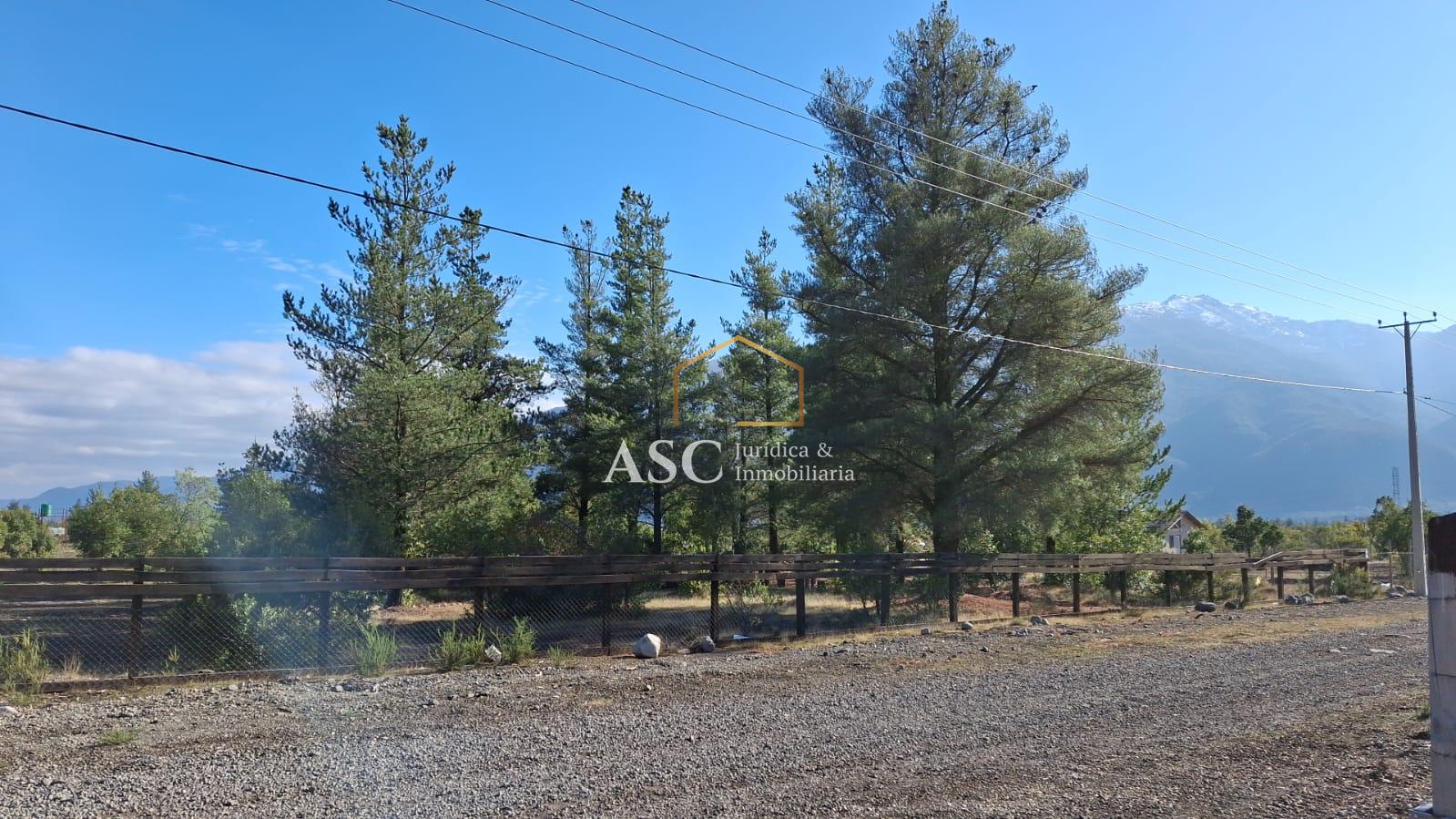 SECTOR ANTUCO 