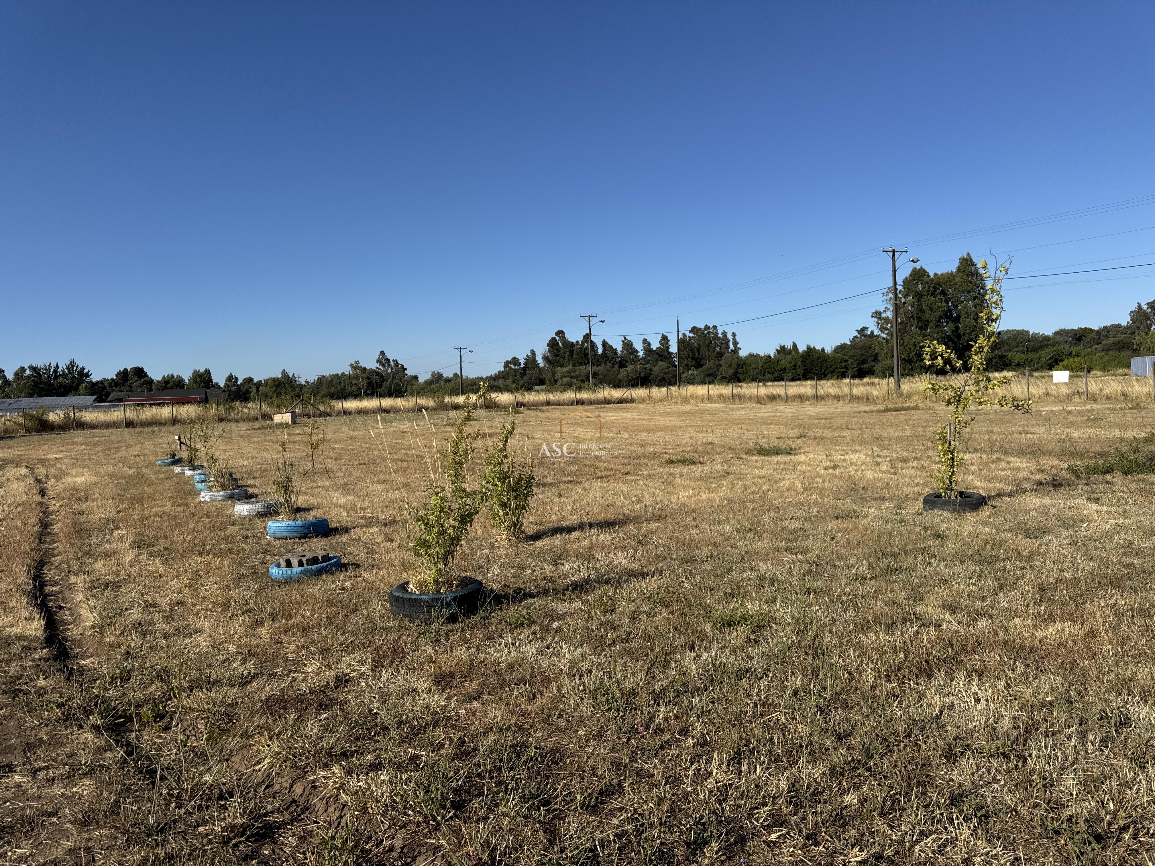 COUNTRY SANTA ELIANA